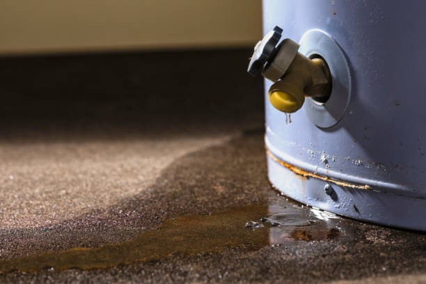 Best Mold removal after water damage  in Vale, OR