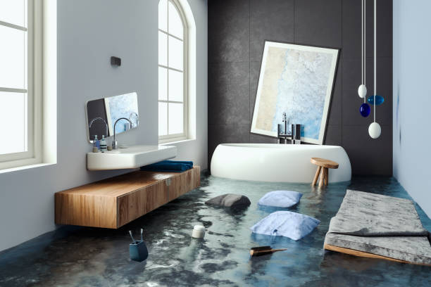 Best Professional water damage repair  in Vale, OR