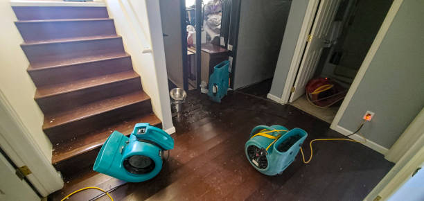Best Ceiling water damage repair  in Vale, OR