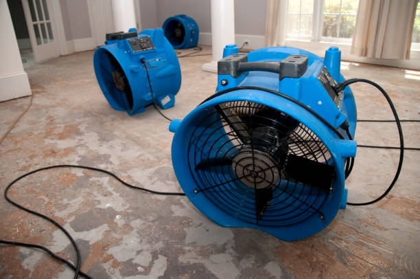 Best Flooded house restoration  in Vale, OR