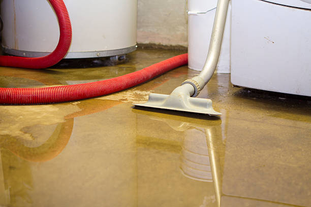 Water damage restoration mold remediation in Vale, OR